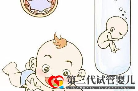 取卵多为什么可移植胚胎数不多？卵泡和试管成功率的关系(图1)