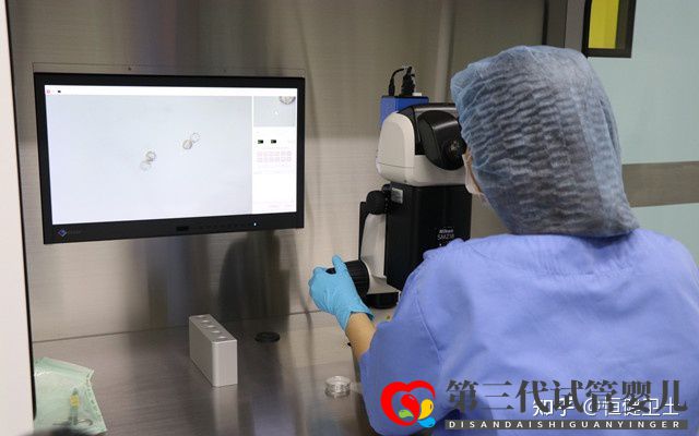 第三代试管婴儿成功率及其费用详解2022(图1)