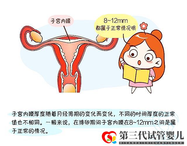 子宫内膜薄做试管婴儿成功率大吗?看专家怎么说(图1) 子宫内膜薄做试管婴儿成功率大吗?看专家怎么说(图1)
