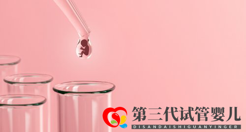 基础卵泡会影响试管的成功率吗(图1) 基础卵泡会影响试管的成功率吗(图1)