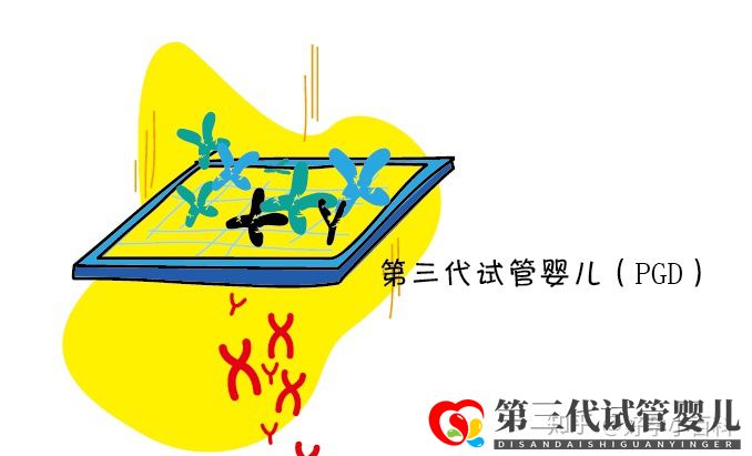 什么是三代试管婴儿第三代试管婴儿成功率高(图7) 什么是三代试管婴儿第三代试管婴儿成功率高(图7)