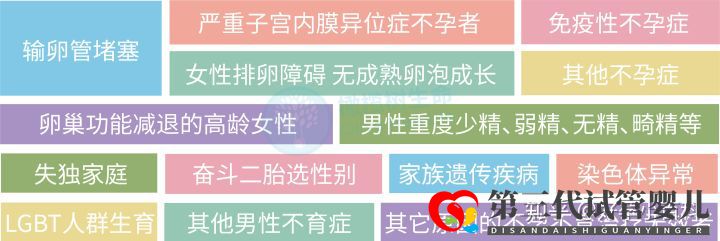 什么是三代试管婴儿第三代试管婴儿成功率高(图10) 什么是三代试管婴儿第三代试管婴儿成功率高(图10)