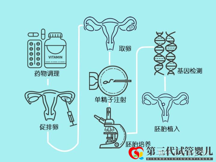 什么是三代试管婴儿第三代试管婴儿成功率高(图12)