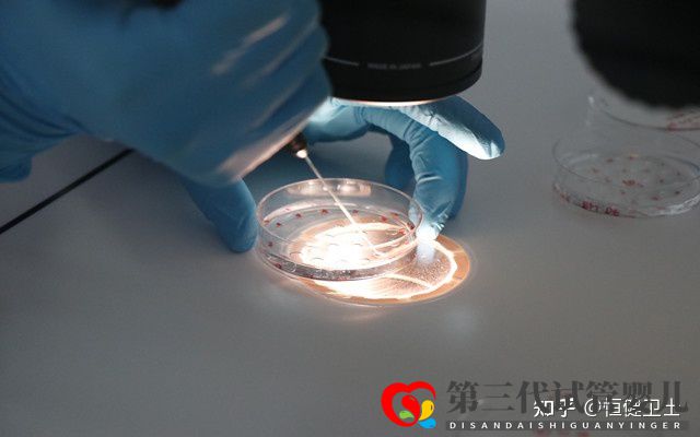 做三代试管大约多少钱一次(图4)