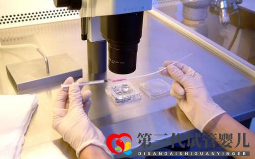 做试管婴儿复杂吗?过程是怎样的?(图1) 做试管婴儿复杂吗?过程是怎样的?(图1)