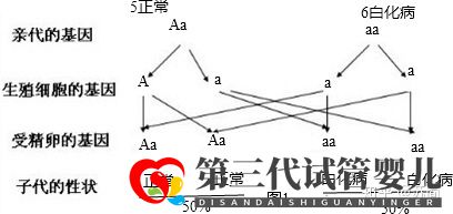 泰国三代试管PGD技术能解决白化病的遗传问题吗(图2) 泰国三代试管PGD技术能解决白化病的遗传问题吗(图2)