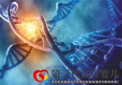 用生物学思维，可以解决金融市场的损失问题吗？(图2)