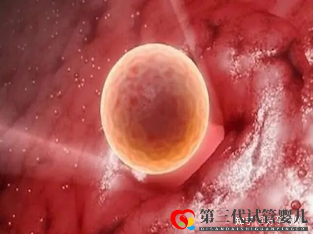 50岁绝经做一次供卵试管移植的成功率是多少(图2) 50岁绝经做一次供卵试管移植的成功率是多少(图2)