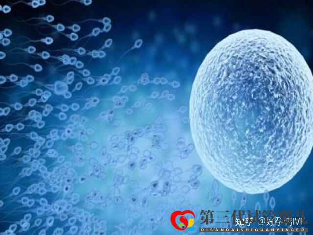 50岁绝经做一次供卵试管移植的成功率是多少(图4) 50岁绝经做一次供卵试管移植的成功率是多少(图4)