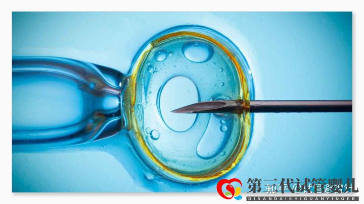 试管婴儿费用大约多少 ——最全面的费用详解(...(图2) 试管婴儿费用大约多少 ——最全面的费用详解(...(图2)