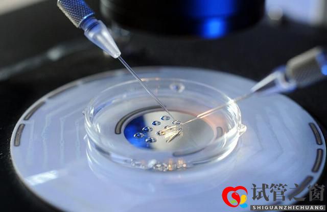 关于试管婴儿的几大误区,看看你中了几条(图1) 关于试管婴儿的几大误区,看看你中了几条(图1)