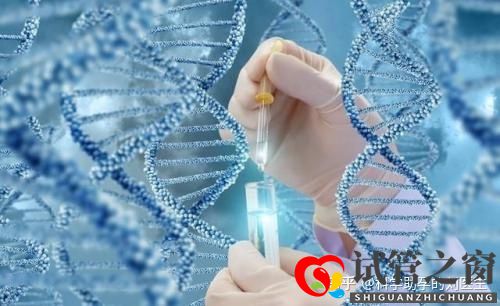 做试管婴儿的全过程做三代试管婴儿预备10万够不够(图4) 做试管婴儿的全过程做三代试管婴儿预备10万够不够(图4)