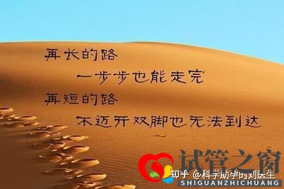 做试管婴儿的全过程做三代试管婴儿预备10万够不够(图13) 做试管婴儿的全过程做三代试管婴儿预备10万够不够(图13)