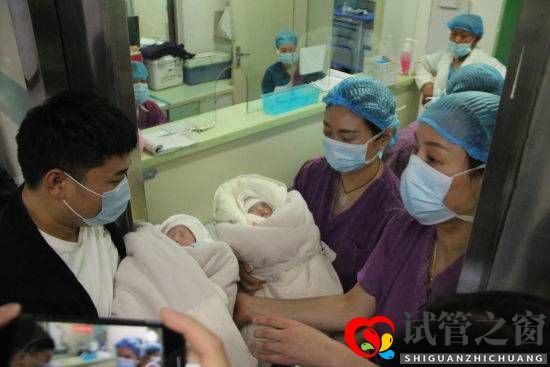 安徽阜阳首例试管婴儿诞生，“龙凤”胎！(图1)