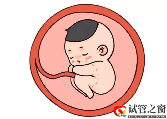 37岁还能做试管婴儿,能成功怀上宝宝吗?(图1) 37岁还能做试管婴儿,能成功怀上宝宝吗?(图1)