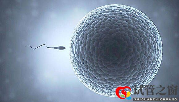 3点告诉你什么样的精子才符合试管婴儿的使用标准(图1)