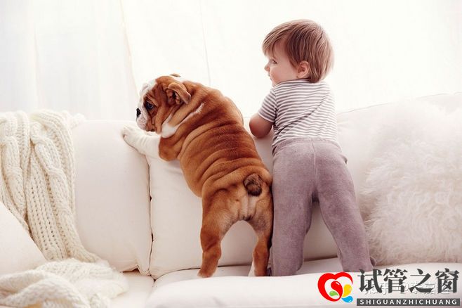 40岁做试管婴儿生三胎,需要做足哪些准备(图2) 40岁做试管婴儿生三胎,需要做足哪些准备(图2)