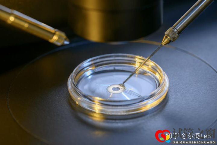 试管婴儿最详细分步指南(图5) 试管婴儿最详细分步指南(图5)