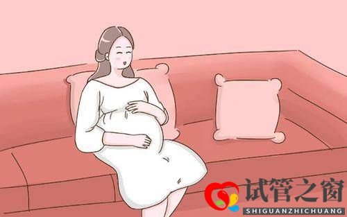 进行试管婴儿助孕可不可以选择移植两个胚胎？(图1)