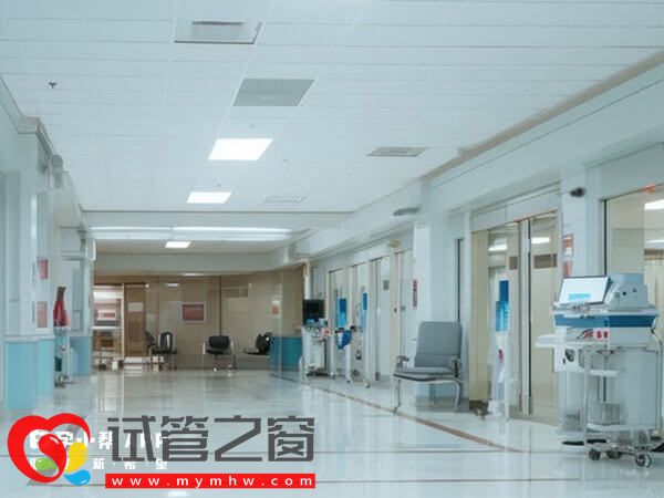 上海红房子妇科医院试管怎么样