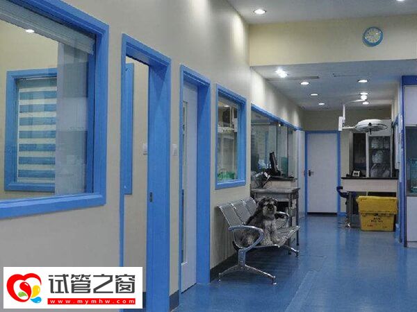 天津和睦家医院试管如何