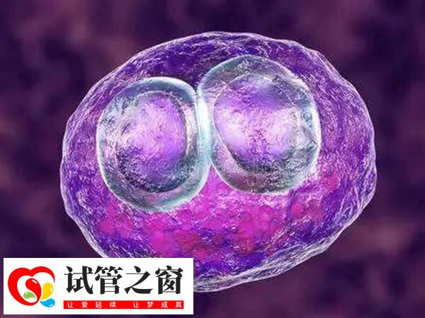 胚胎移植后要注意个人卫生