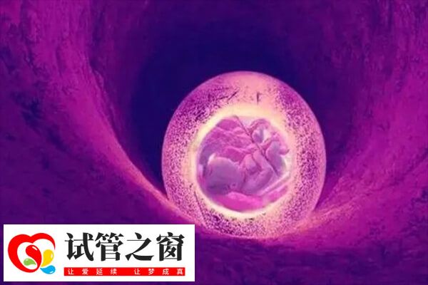 试管婴儿需要回到子宫内孕育