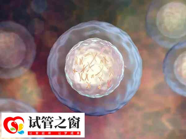 试管移植后宫缩可能是着床了