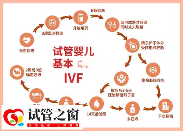 胚胎移植是做试管婴儿的核心步骤