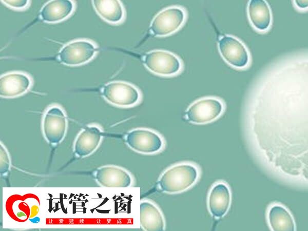 避免不良习惯可以提高精子活力