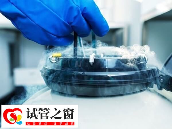 移植冻胚前要先准备内膜