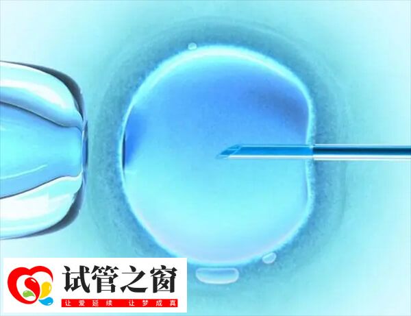 单精子注射是一种显微操作技术