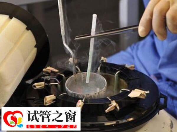 试管成功率并非百分百