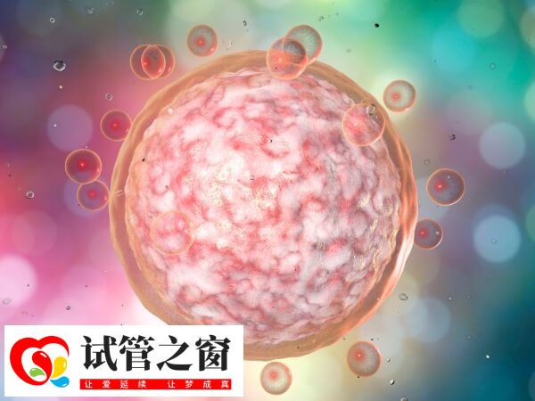 试管一次成功的几率约40%