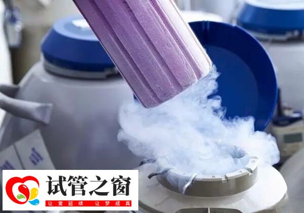 冷冻胚胎的复苏率一般是大于95%
