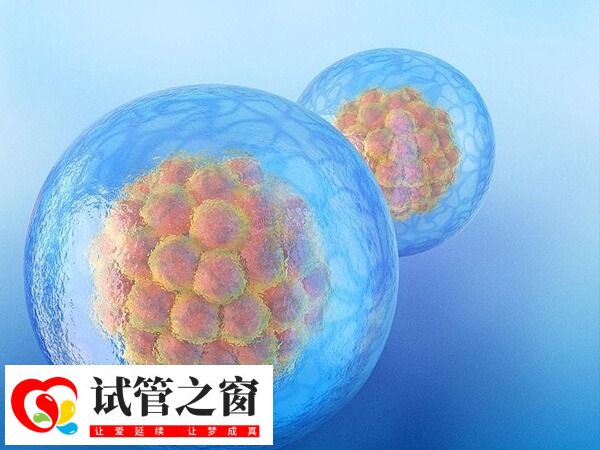 促排取卵数量因人而异