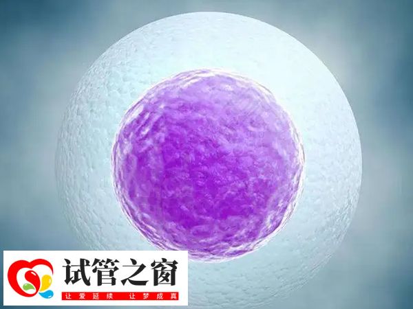 试管fet移植是移植冻胚