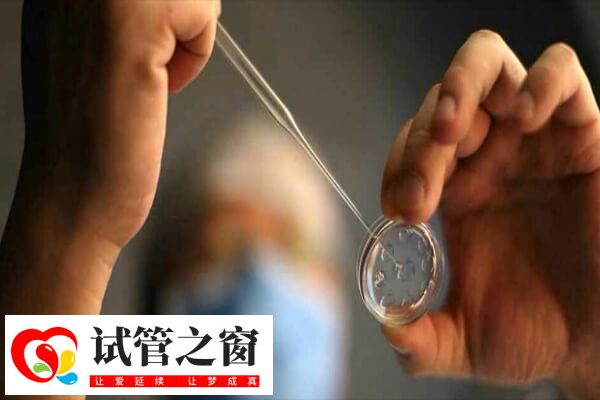 做试管的目的是获得妊娠并成功生产