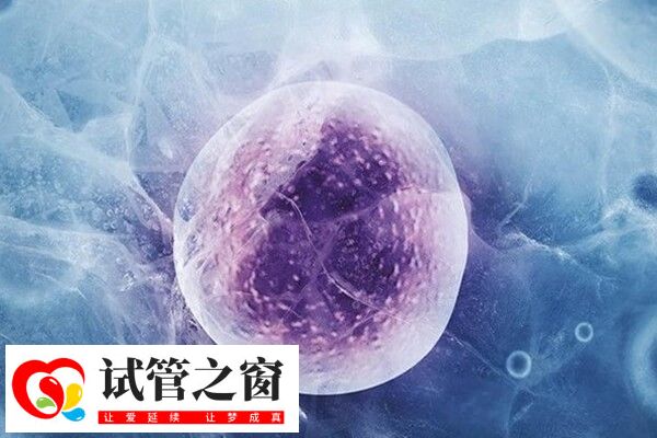 做试管婴儿去医院次数并不频繁
