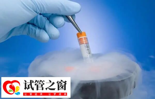 女人25岁冷冻卵子最好