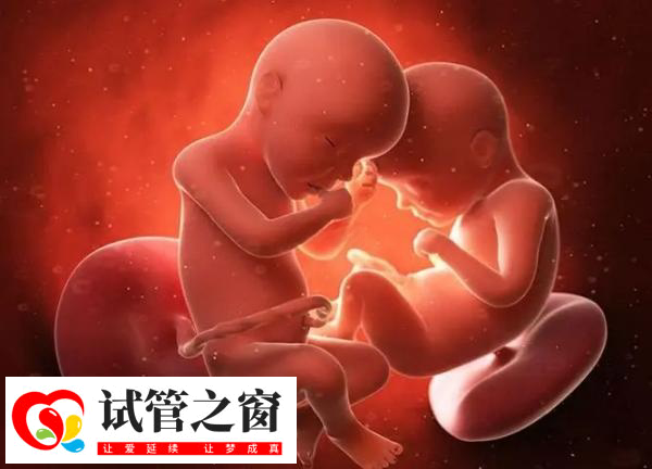 试管多胎妊娠可能会胎停