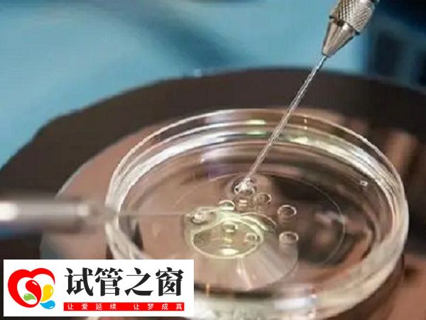 试管治疗的成功率并非100%
