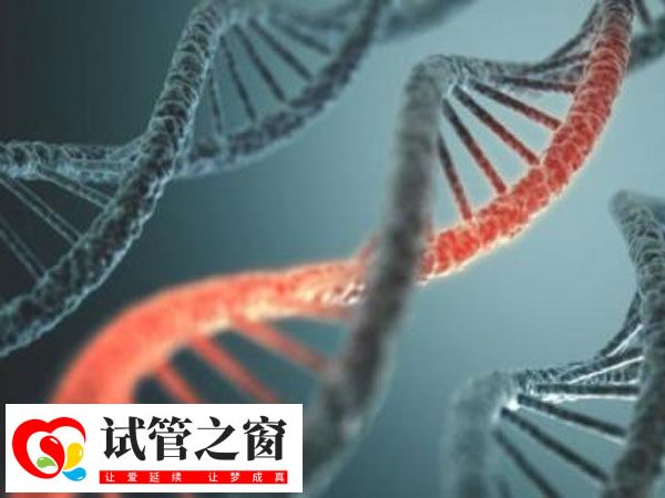 胚胎多倍体并不必须要做三代试管