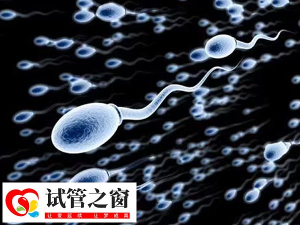 二代试管主要用于处理男性精子问题