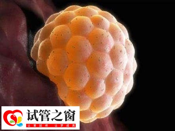 养囊通常需要5-7天