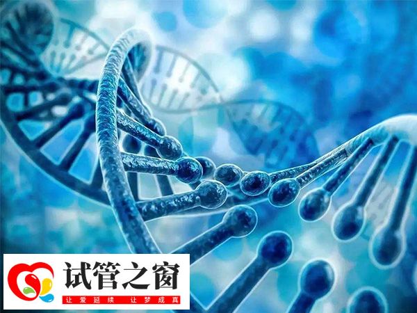 三代试管筛查要10-20天