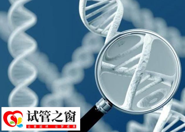 俄罗斯试管婴儿成功率高达75%