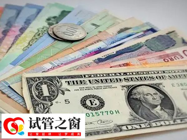 试管花费俄罗斯比美国低