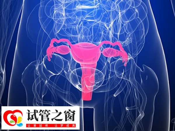 PGS技术能提高妊娠成功率