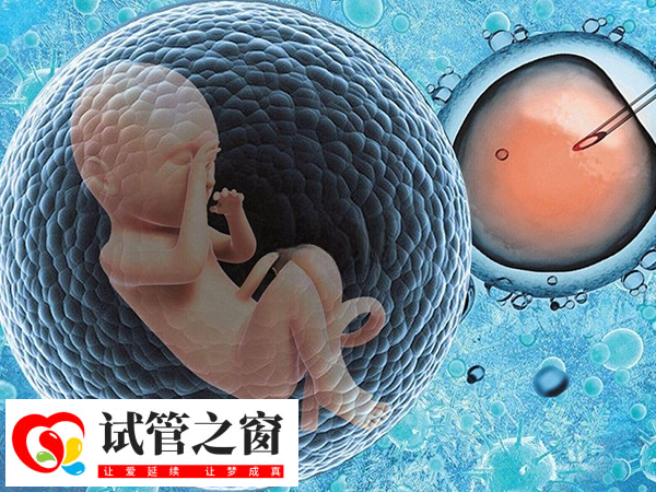 淮南市中心医院可以做供卵试管